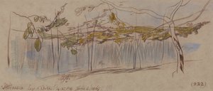 Pettenasco, Lago dOrta by Edward Lear